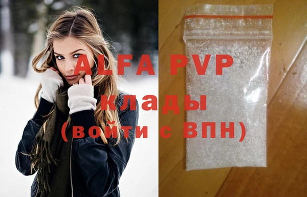 шишки Арсеньев